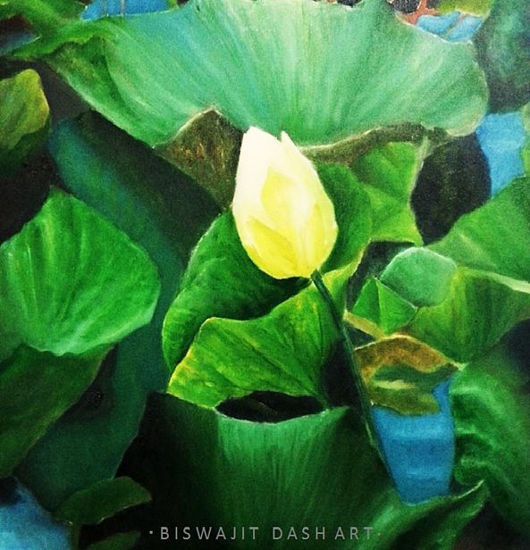 The Morning Lily-BISWAJIT DASH