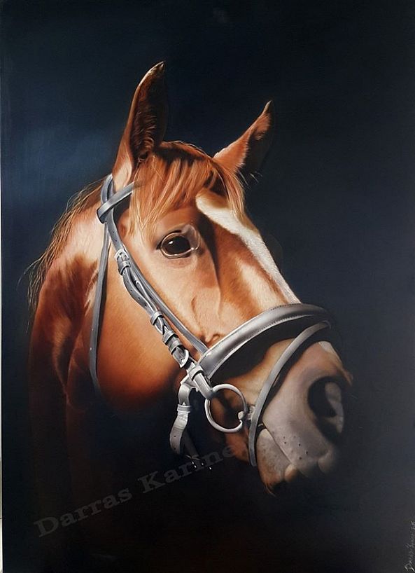 Horse-karine darras