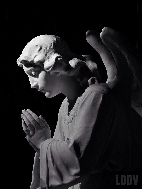 Praying Angel-Le Dormeur Du Vol