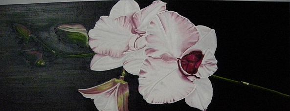 Orchidée rosée-Louyse Noël
