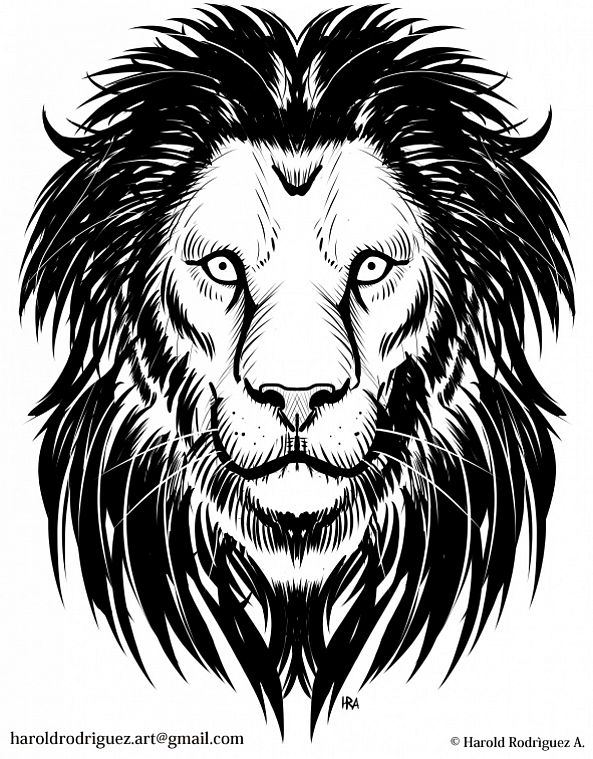 Lion Artwork 1-Harold Rodriguez