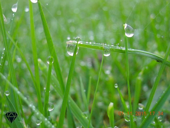 Goutte d'eau -erika pusset