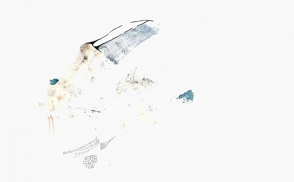 1015-II / holothurie-Aude Haefflinger