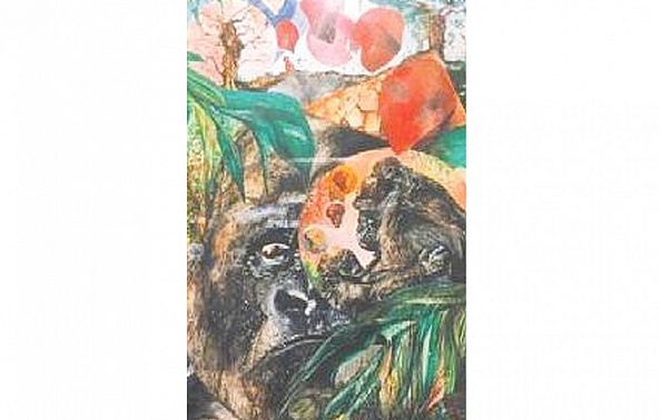 Plight of the Gorilla-Grant Netherlands