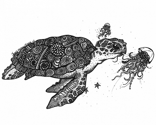 Sea Turtle-Jessie's Art