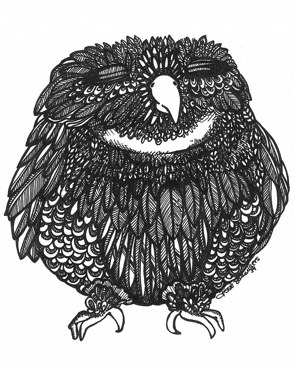 Owl-Jessie's Art