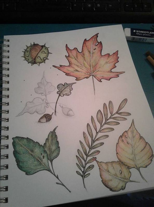 Autumn-Jessie's Art