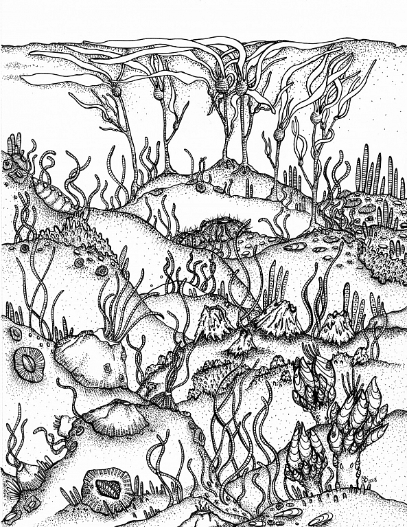 Shells and Seaweeds-Jessie's Art