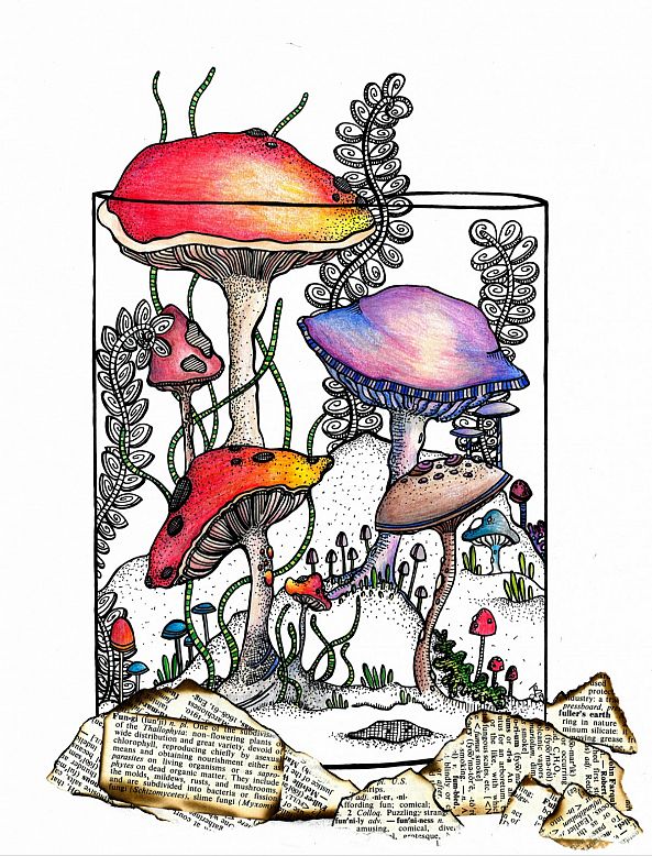 The Land of Fungi-Jessie's Art