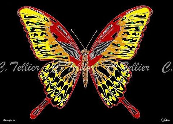 Butterfly #1-Tellier Christophe