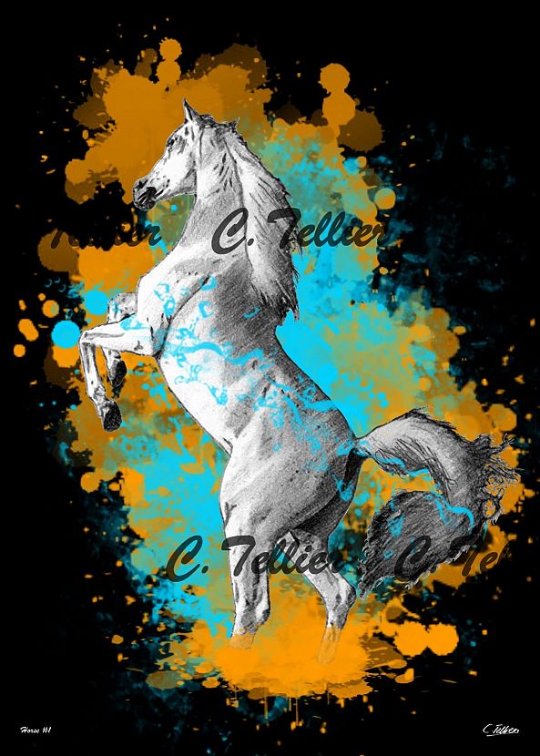 Horse #1-Tellier Christophe
