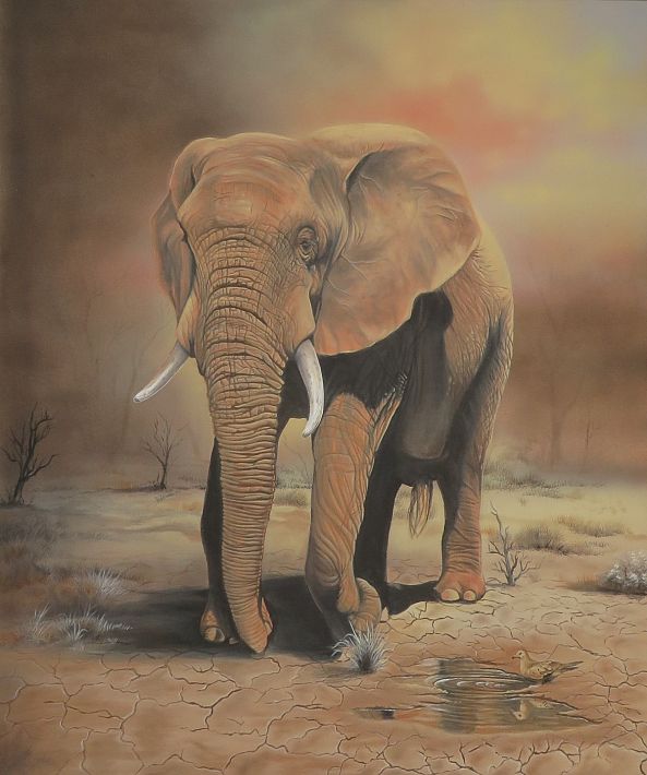 Umber Elephant-GIDEON GELDENHUYS