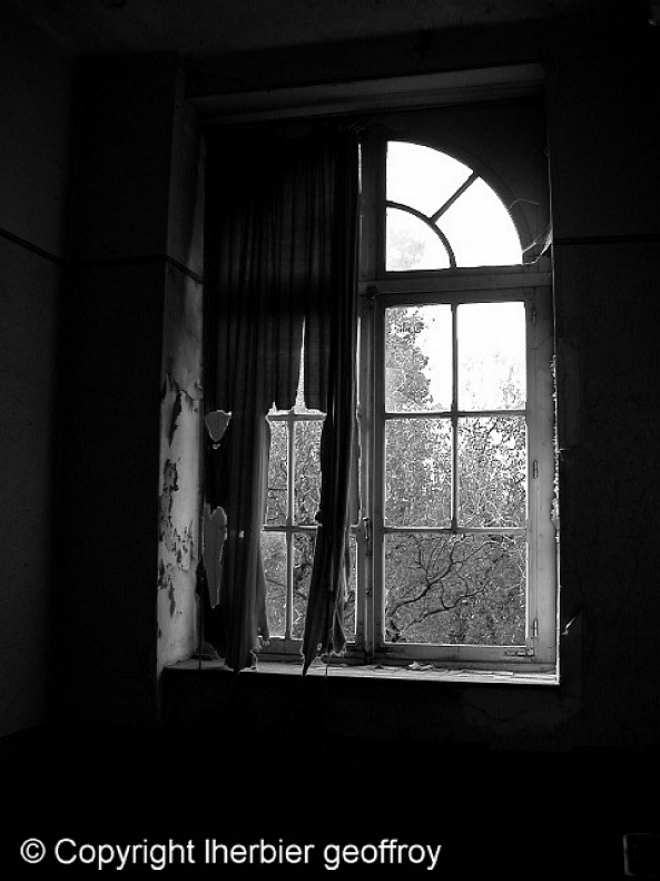 Window-Geoffroy  Lherbier