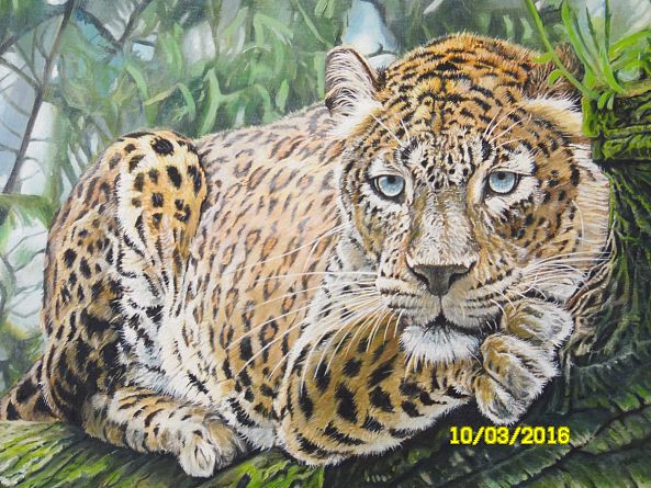 Leopard-Pierre-Yves Blasco