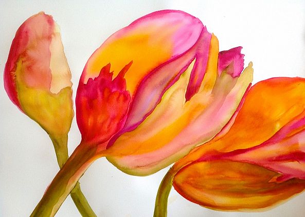 Tulips-Olga Polstvin