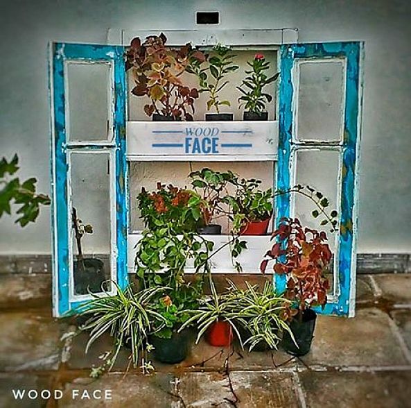 Forest Window-Idriss SASSI
