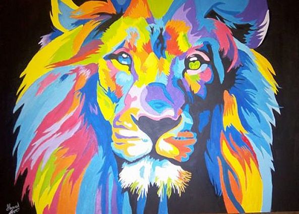 multicolored lion-ahmed belhcine