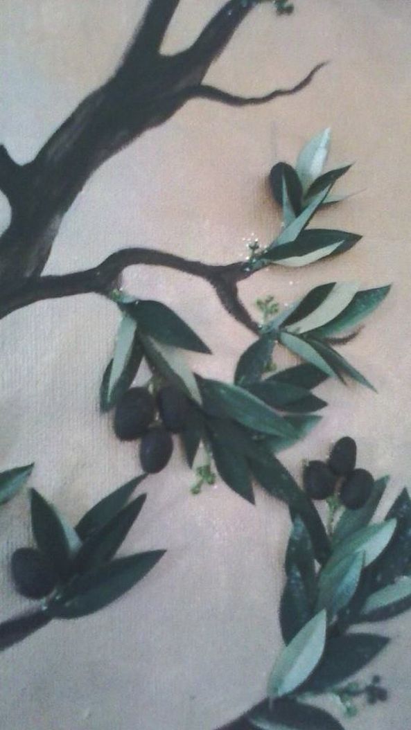 Olive tree-Nour el Houda HASSEN