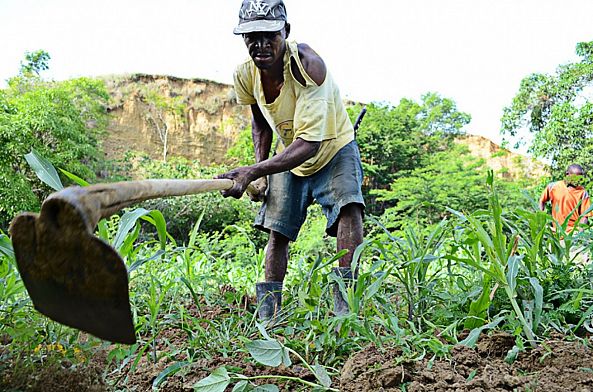 Haitian farmer -Martin Martel