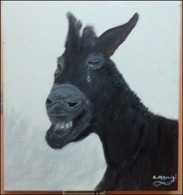 Last donkey,last message-Abdesselam Hamizi