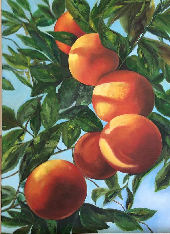 My oranges-Sylvia Herbert - Chvatal