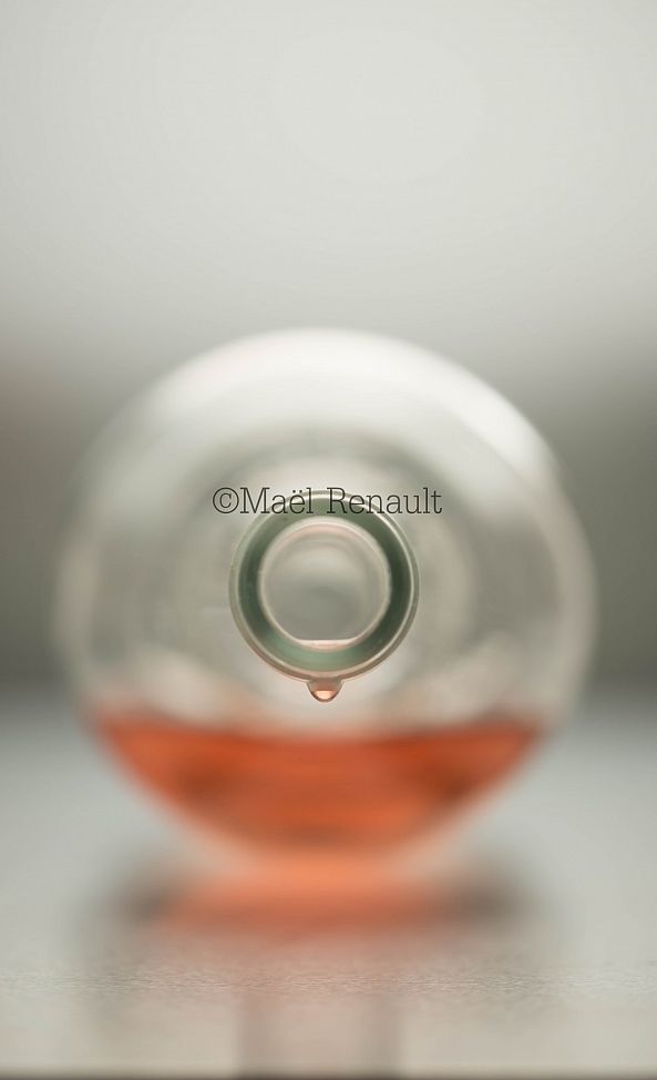 drop of rosé-Maël Renault