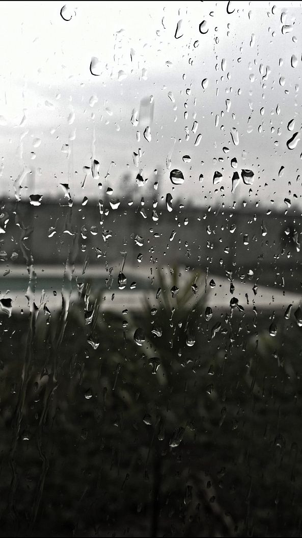 drops on my window-Qasim Qasim