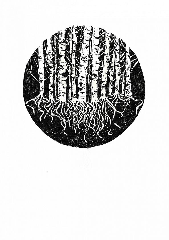 Watchful eye of the white birch -Nastasha Minyon Sale 