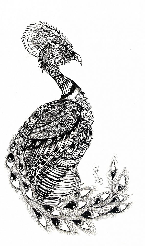 Peacock -Nastasha Minyon Sale 