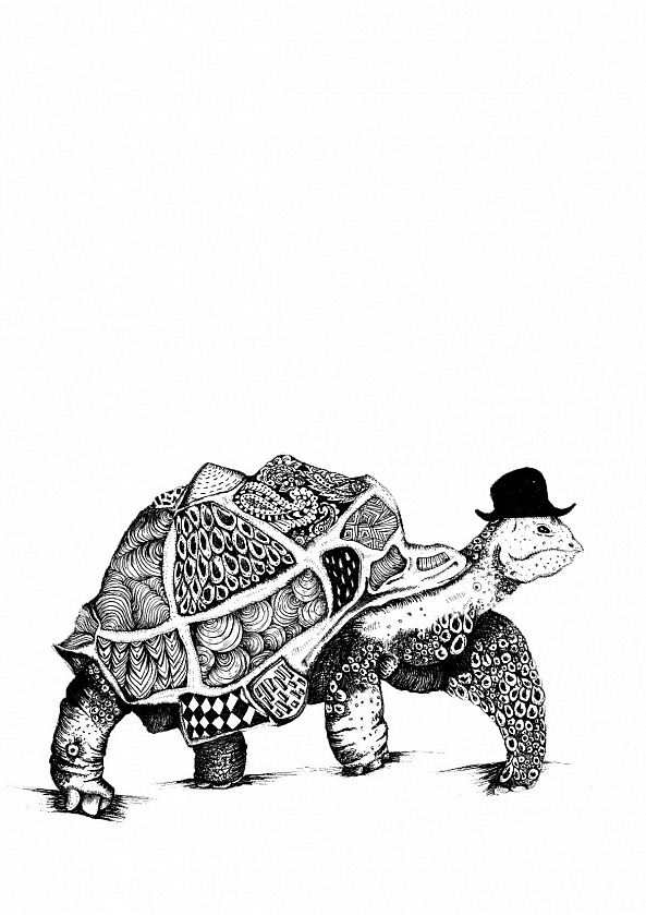Herman the tortoise -Nastasha Minyon Sale 