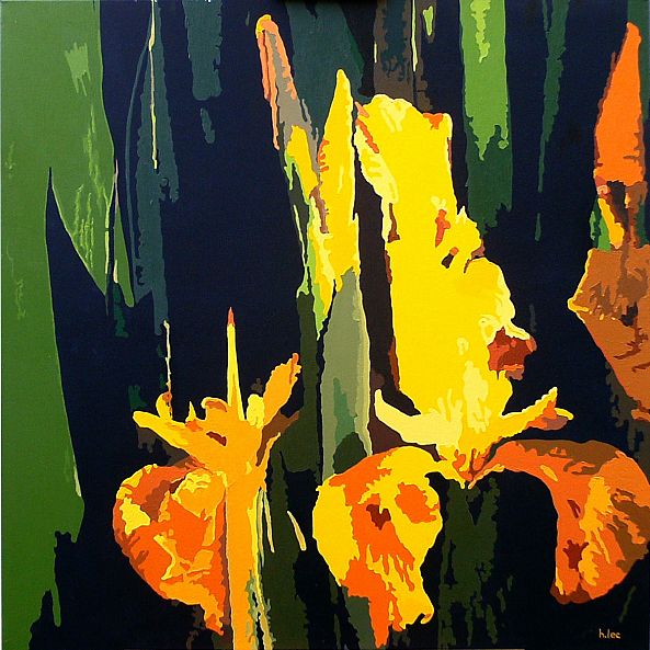 iris jaune-helene lecorsier