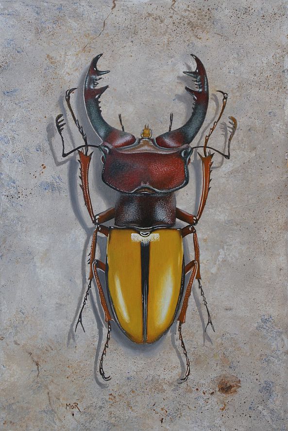 Lucanus Laetus-Dietrich Moravec