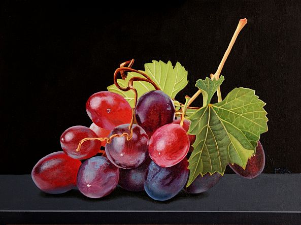 Red Grapes-Dietrich Moravec