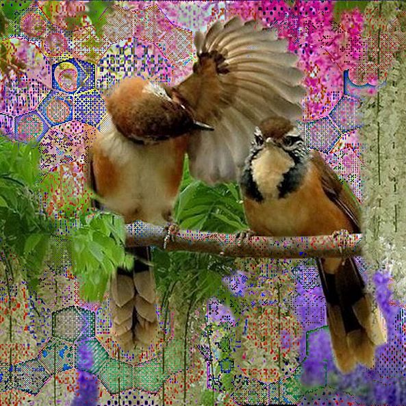 Birdcouple-Agnes Fodor