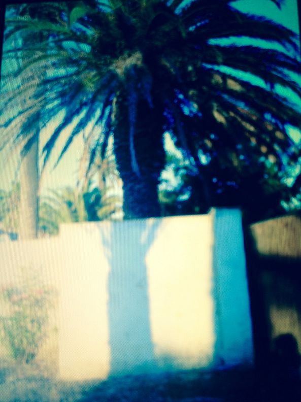 Porquerolles-Nicole Grenot