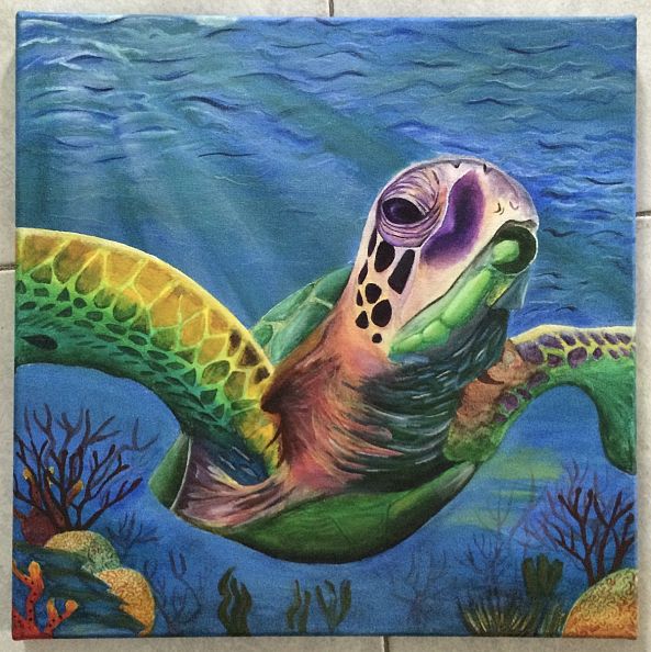 Turtle-Terry Goodman