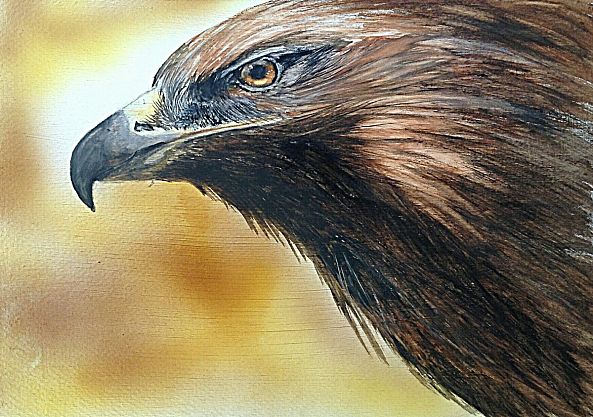 Eagle Eye-Marion Hughes