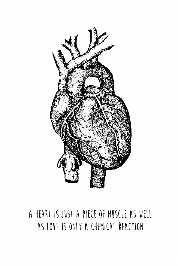 Human heart -Kay Ryan 