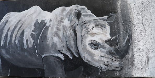 Rhino-Lauren Fick