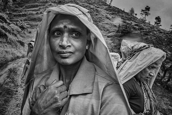 Regard-jeff GUIOT