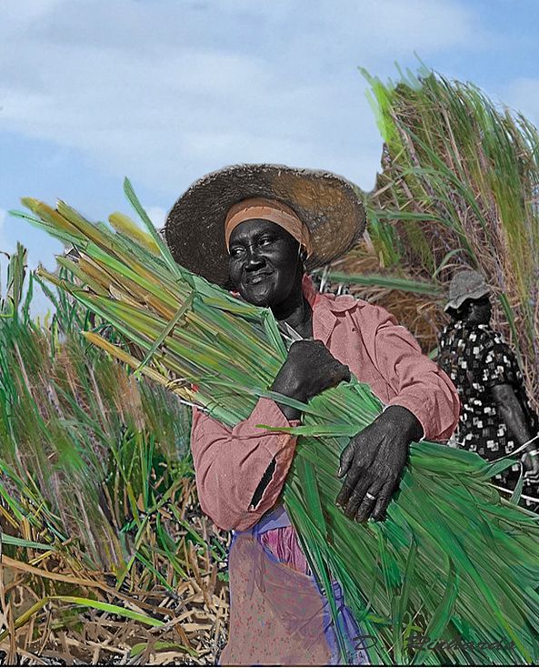 Cane woman-Dennis Richards