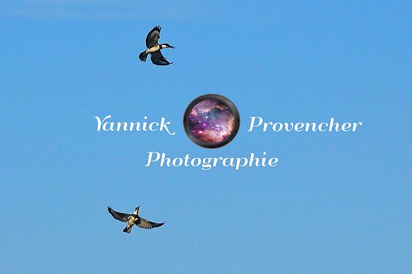 Poursuite-Yannick Provencher