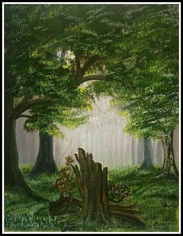 Forest-Binu Mohan