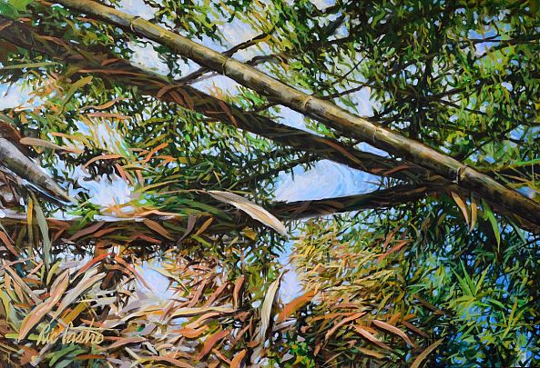 Bamboo Mirror Sky-Ric Castro