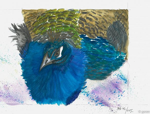 Peacock-Goran Martinovic