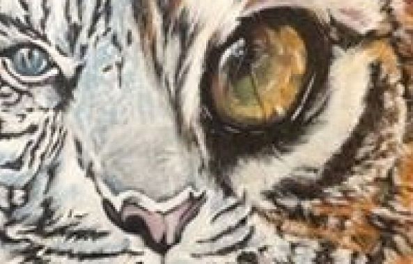 Dans l'oeil du tigre -Annie RAX Houle