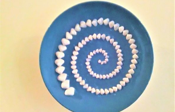 Ancient Hellenic Spiral on Porcelain Plate with 90 Natural Nucula Nucleus Seashells (004)-Anastasia Pourliotou