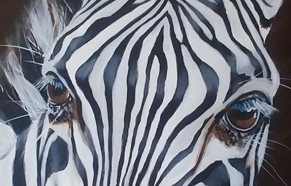 Grevys Zebra-Lucie Theroux