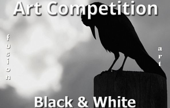 8th Annual Black & White Art Competition