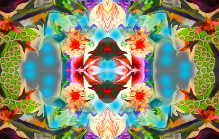 Nazma Botanica